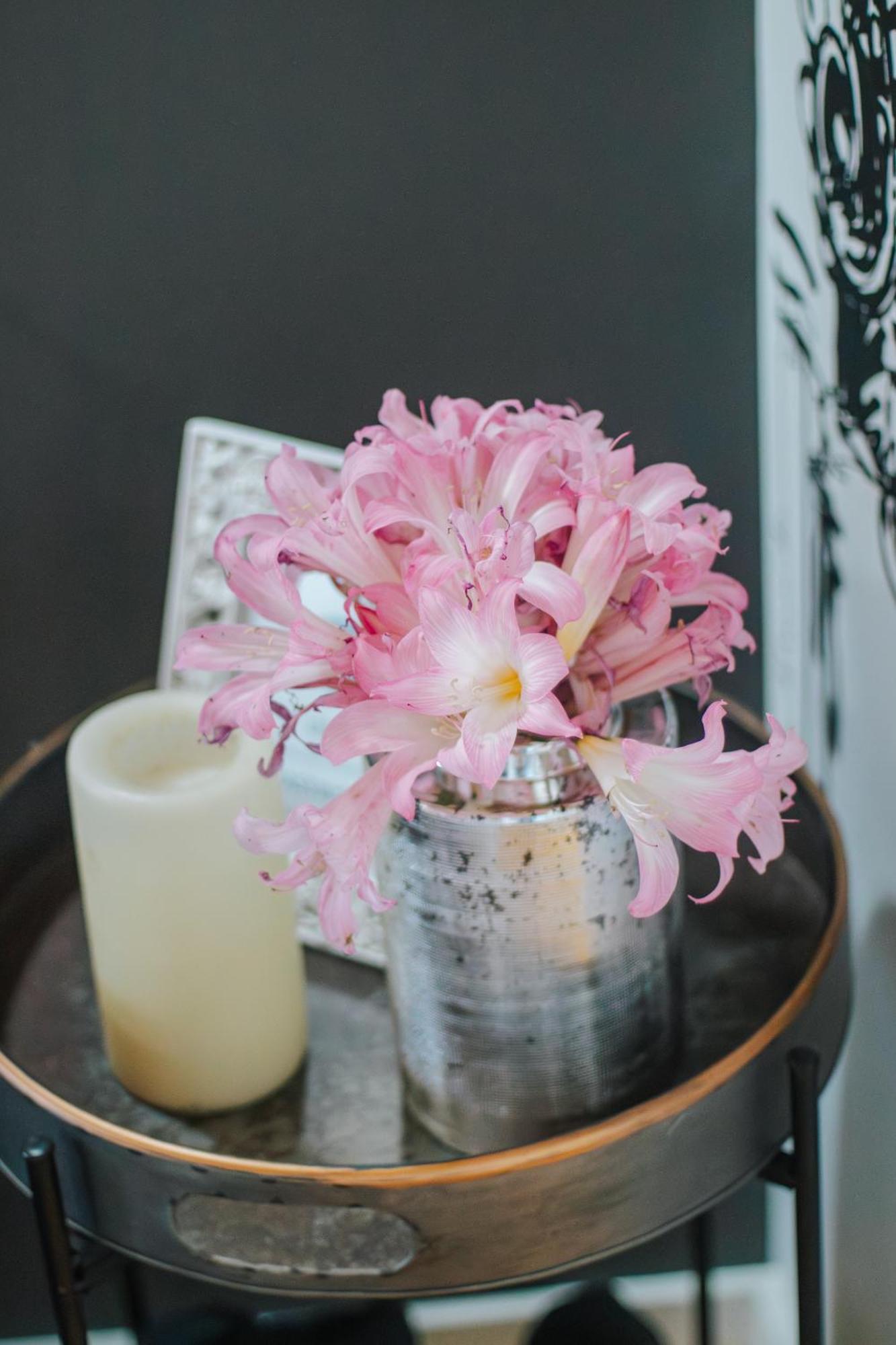 Casa Luis De Camoes - Boutique & Literary House Guest House Santar ภายนอก รูปภาพ
