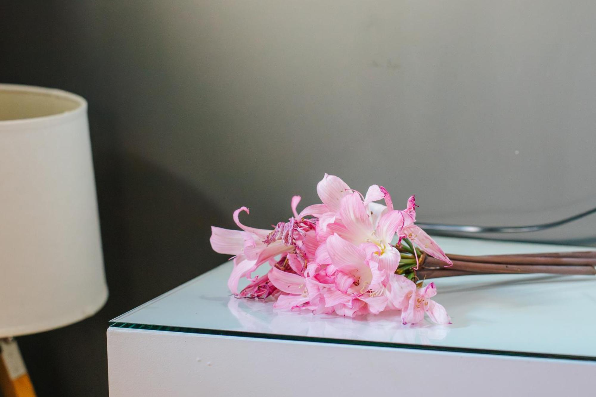 Casa Luis De Camoes - Boutique & Literary House Guest House Santar ภายนอก รูปภาพ
